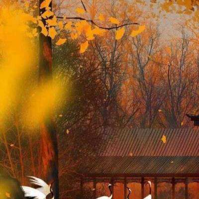 观察古树、学习养菊，北京市属公园科普游园会开幕